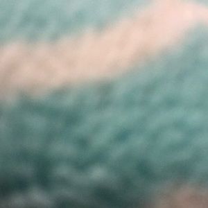 Meet your Posher, Payslie